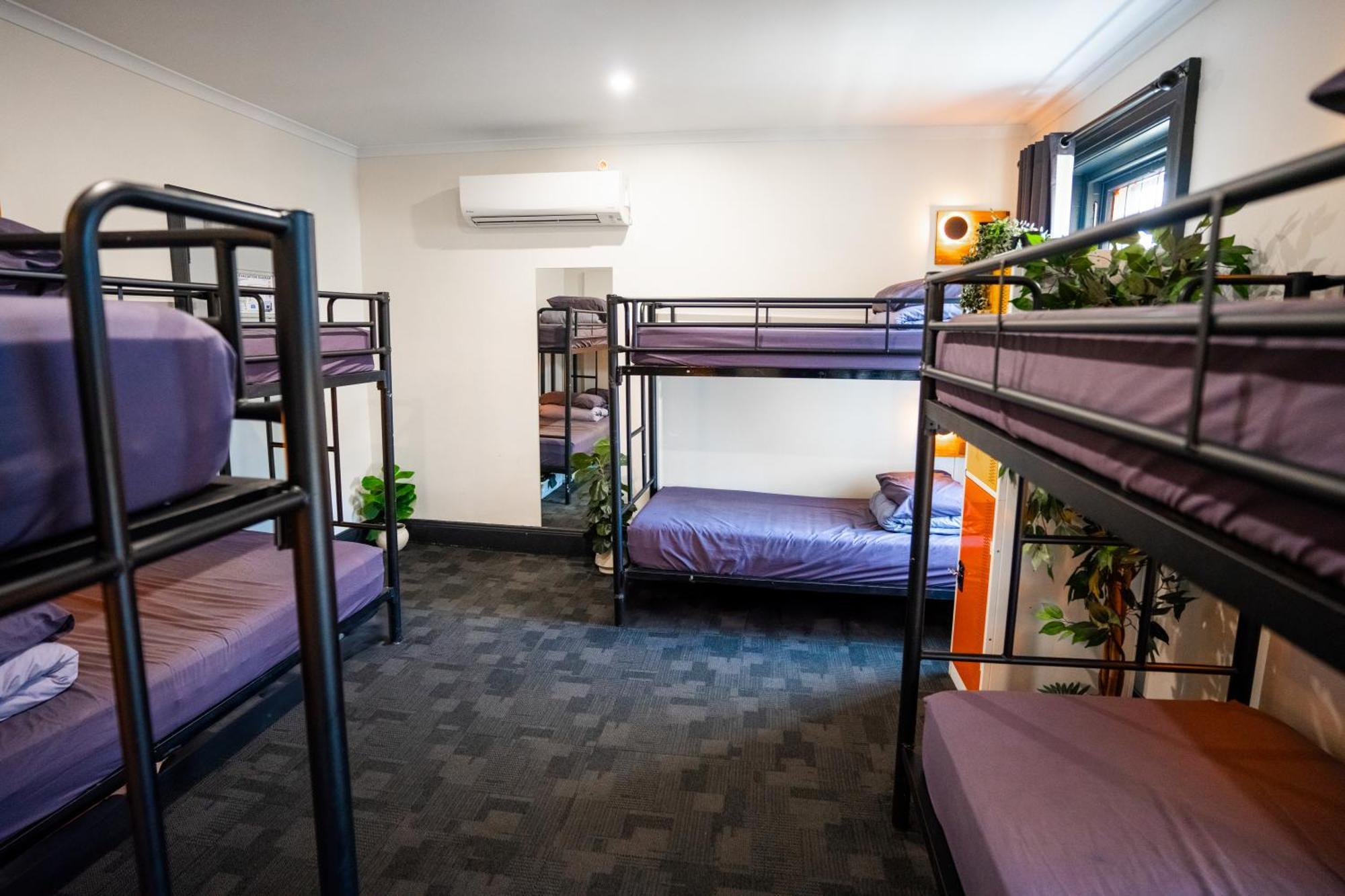 Mad Monkey Kings Cross (Adults Only) Hostel Sydney Bagian luar foto